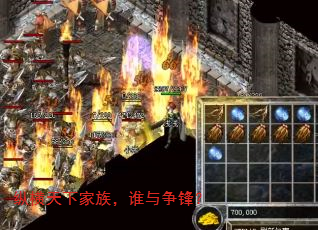 纵横天下家族,谁与争锋? 纵横天下家族,谁与争锋?