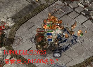 DJPOLE2025ӢDISCOս裿