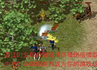 湛江Dj文辉63辑嗨场热播伤感情歌预谋全中文Club串烧能否成为你的游戏战歌? 湛江Dj文辉63辑嗨场热播伤感情歌预谋全中文Club串烧能否成为你的游戏战歌?