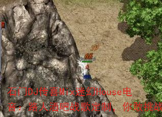 ʯDJϲMixԻHouse·˾ưս趨ƣս