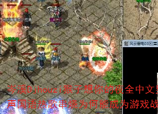 ϪDjhouziҹȫȸ贮ΪܳΪϷսѡ