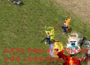 DjMixѩŮ桶˹ŮˡϷս裿