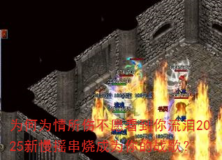 ΪΪ˲Ը2025ҡճΪս裿