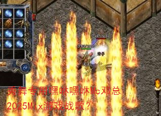 秀舞专用嘿咻嘿咻Mc邓总2025Mix游戏战歌? 秀舞专用嘿咻嘿咻Mc邓总2025Mix游戏战歌?