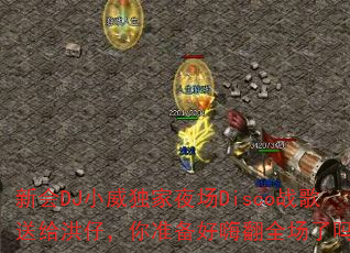 »DJСҹDiscoս͸У׼˷ȫ