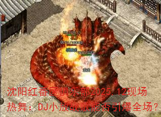 췬ֲ2025.12ֳ裺DJСսܷȫ