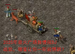 2025年最火广场舞慢摇DJ战歌,哪首让你一听就想跳? 2025年最火广场舞慢摇DJ战歌,哪首让你一听就想跳?