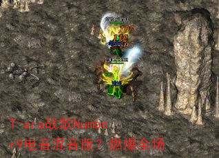 T-ara战歌Number9电音混音版?燃爆全场 T-ara战歌Number9电音混音版?燃爆全场