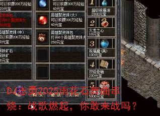 DJ־2025껨ʯգսȼս