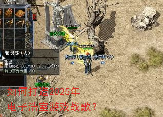 如何打造2025年电子浩室游戏战歌? 如何打造2025年电子浩室游戏战歌?