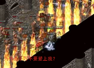 为什么千万不要爱上我? 为什么千万不要爱上我?