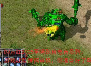 DJ2025˾ˬϵУϷսҡգ׼