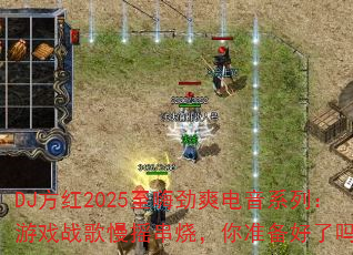 DJ2025˾ˬϵУϷսҡգ׼