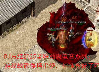 DJ2025˾ˬϵУϷսҡգ׼