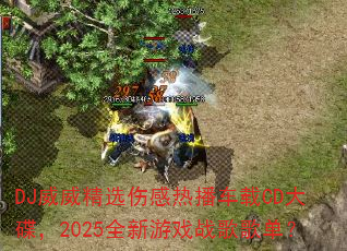 DJ威威精选伤感热播车载CD大碟,2025全新游戏战歌歌单? DJ威威精选伤感热播车载CD大碟,2025全新游戏战歌歌单?