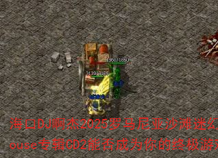 DJ2025ɳ̲Ի÷HouseרCD2ܷΪռϷս裿