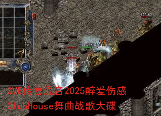 GVE传喜混音2025醉爱伤感ClubHouse舞曲战歌大碟 GVE传喜混音2025醉爱伤感ClubHouse舞曲战歌大碟
