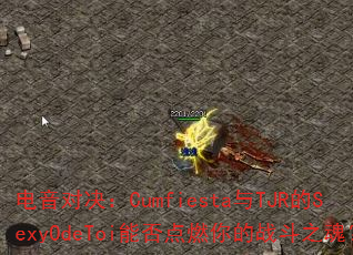 电音对决:Cumfiesta与TJR的SexyOdeToi能否点燃你的战斗之魂? 电音对决:Cumfiesta与TJR的SexyOdeToi能否点燃你的战斗之魂?