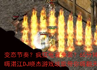 ̬ࣿϮ65ӿտDJϷս˷죿