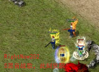 RightNow2025ս裬˿̾ѣ