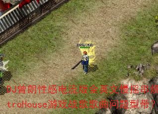 DJԸеȫӢҡElectroHouseϷսʹ