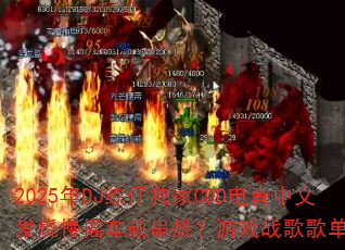 2025DJжCDDķҡشգϷս赥