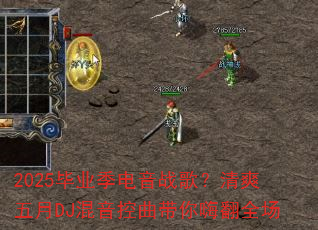 2025ҵս裿ˬDJ˷ȫ