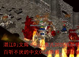 湛江Dj文辉×Dj小鱼儿2025战歌精选:百听不厌的中文Club串烧,你准备好了吗? 湛江Dj文辉×Dj小鱼儿2025战歌精选:百听不厌的中文Club串烧,你准备好了吗?