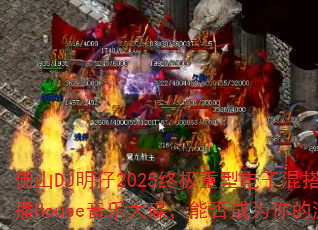 ɽDJ2025ռ͵ӻŷȲHouseִܷΪϷս