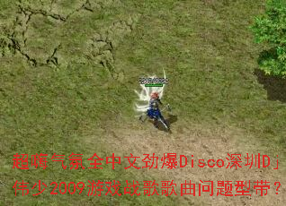 ȫľDiscoDjΰ2009Ϸսʹ