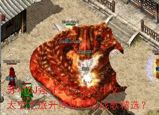 մDJǿ2025̫֮˸ս辫ѡ