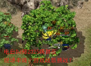 DJ֣2025ҹֳգϷսս