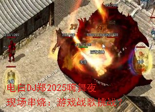 DJ֣2025ҹֳգϷսս