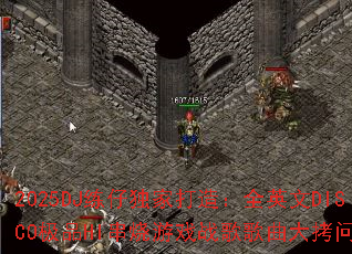 2025DJ练仔独家打造:全英文DISCO极品HI串烧游戏战歌歌曲大拷问? 2025DJ练仔独家打造:全英文DISCO极品HI串烧游戏战歌歌曲大拷问?