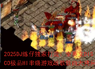 2025DJ练仔独家打造:全英文DISCO极品HI串烧游戏战歌歌曲大拷问? 2025DJ练仔独家打造:全英文DISCO极品HI串烧游戏战歌歌曲大拷问?