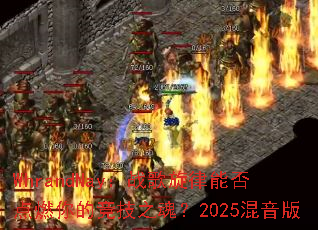 WhrandNayսܷȼľ֮ꣿ2025