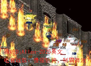 ʨDjAllen-2025Ӣĵս裺ҡ۳ңưأ
