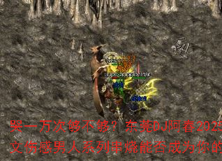 һιݸDJ2025ȫ˸ϵдܷΪϷս裿