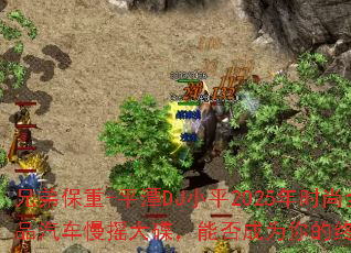 ֵܱ-ƽ̶DJСƽ2025ʱȫľƷҡܷΪռϷս裿