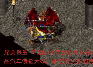 ֵܱ-ƽ̶DJСƽ2025ʱȫľƷҡܷΪռϷս裿