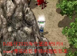 DJ练仔2025海伦堡酒吧8月House慢摇战歌串烧问题型歌单 DJ练仔2025海伦堡酒吧8月House慢摇战歌串烧问题型歌单