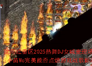 췬2025DJŮֳDjСMcܷȼϷս³