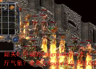 عDjGangnamStyleգȫӢHouseϷս衣