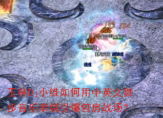 ����DjСά�������Ӣ���貽���ִ�����������ս����