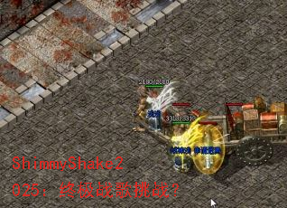 ShimmyShake2025���ռ�ս����ս��