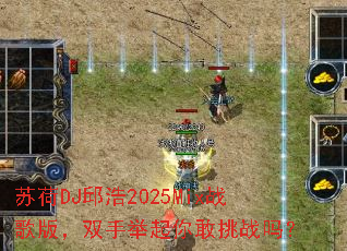 �պ�DJ���2025Mixս��棬˫�־��������ս��