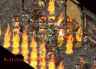 WolleDance2025����֮�գ�