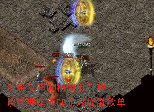 发烧女声DJ杨飘HIFI粤语经典车载CD游戏战歌歌单 发烧女声DJ杨飘HIFI粤语经典车载CD游戏战歌歌单