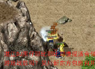 տ��DJ����Ү��Ү��Ү��ҡ�ʺ�����Ϸս�����⴨�¶����������ð�