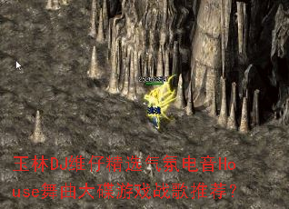 玉林DJ维仔精选气氛电音House舞曲大碟游戏战歌推荐? 玉林DJ维仔精选气氛电音House舞曲大碟游戏战歌推荐?